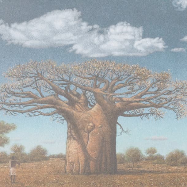 Baobab,バオバブ,Madagasikara,マダガスカル