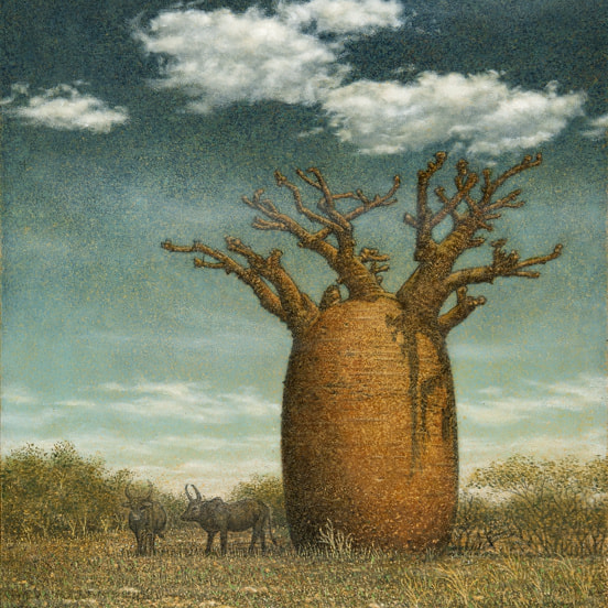 Baobab,バオバブ,Madagasikara,マダガスカル