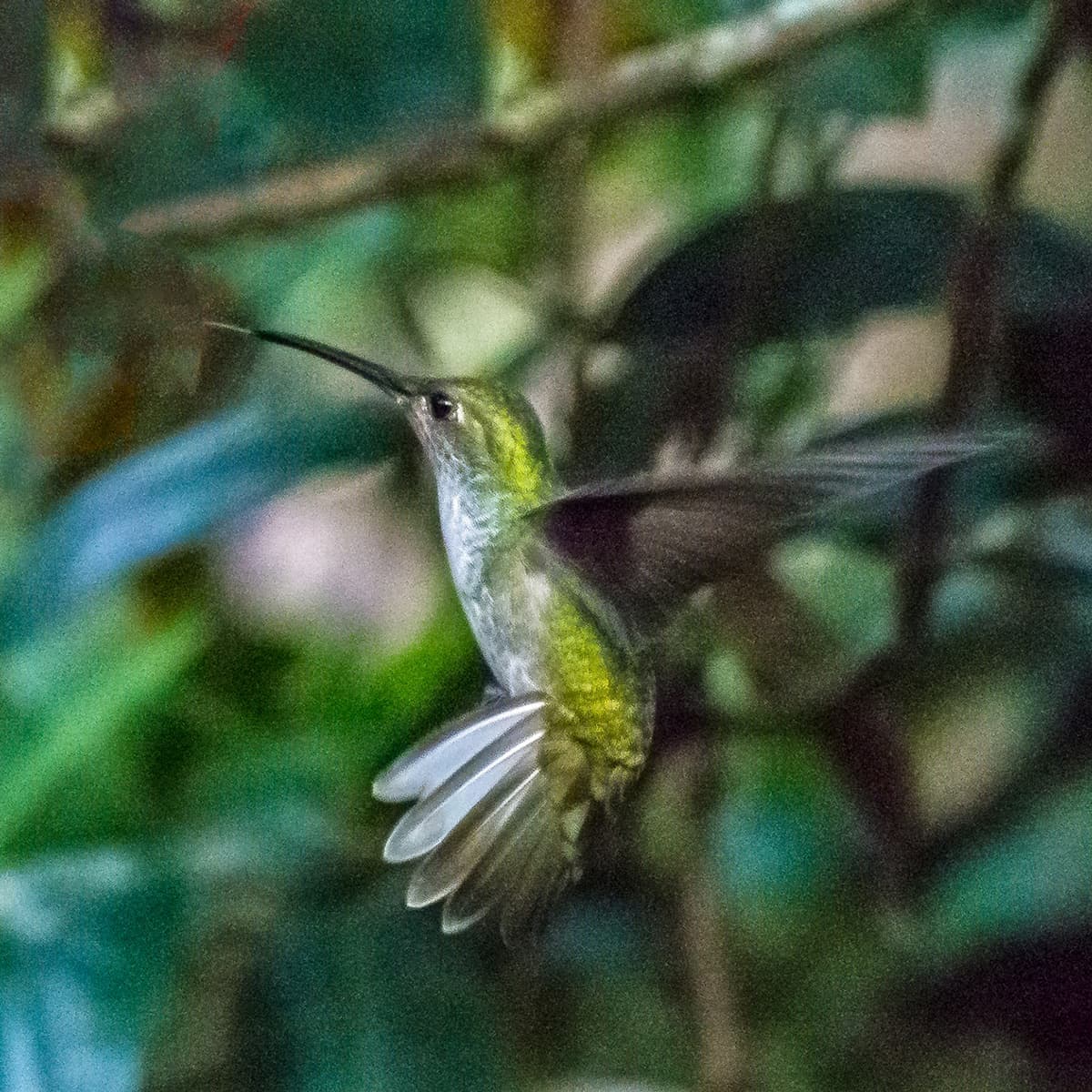 dsc_6254.jpg