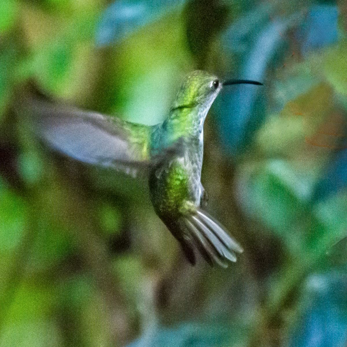 dsc_6285.jpg