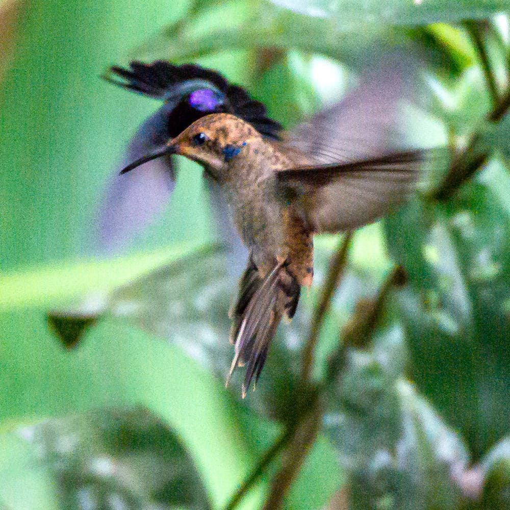 dsc_0867.jpg