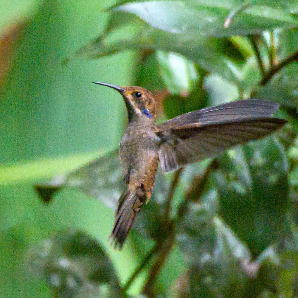 dsc_0872.jpg