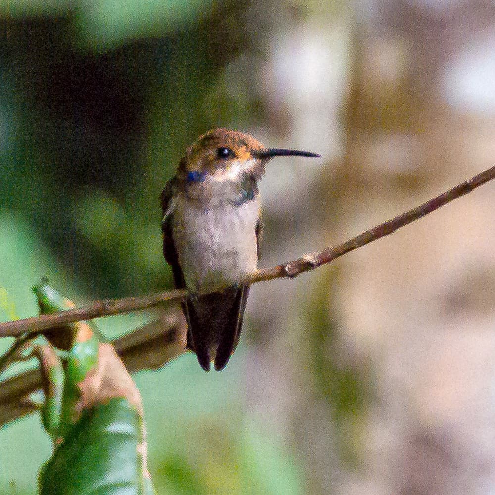 dsc_5746.jpg