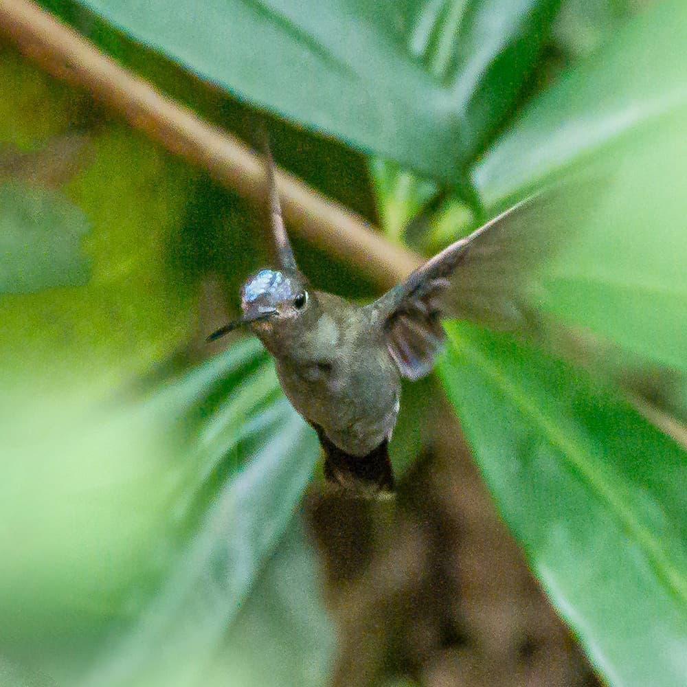 dsc_5441.jpg