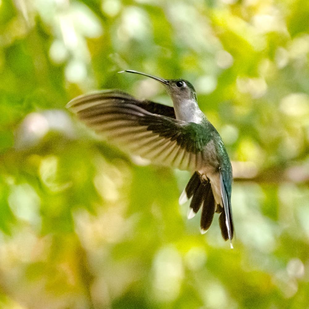 dsc_1533.jpg