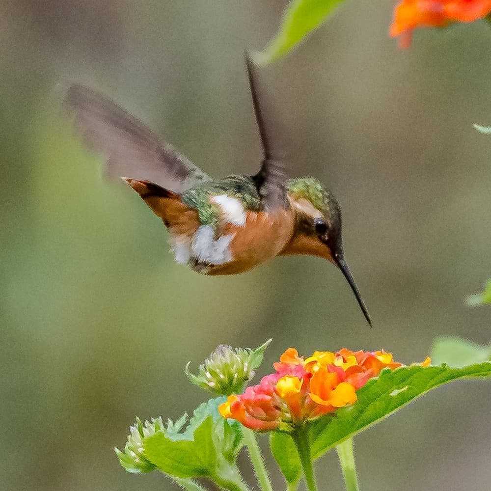 dsc_6560.jpg