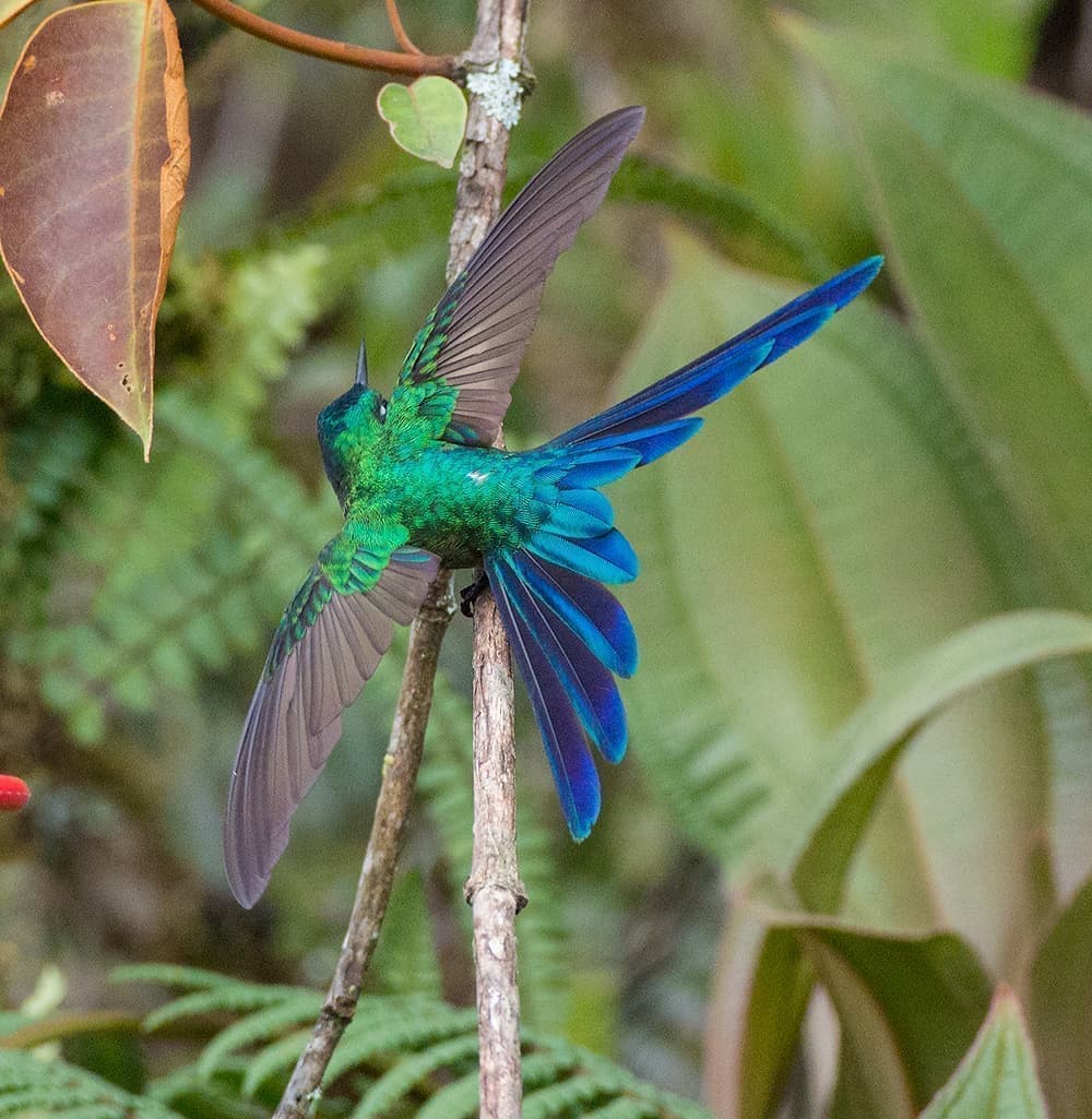 dsc_1788.jpg