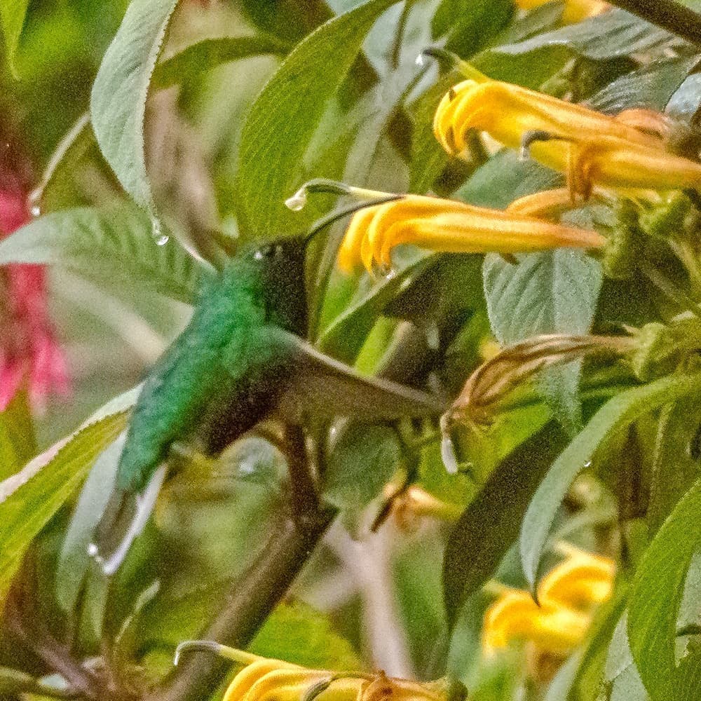 dsc_0567.jpg
