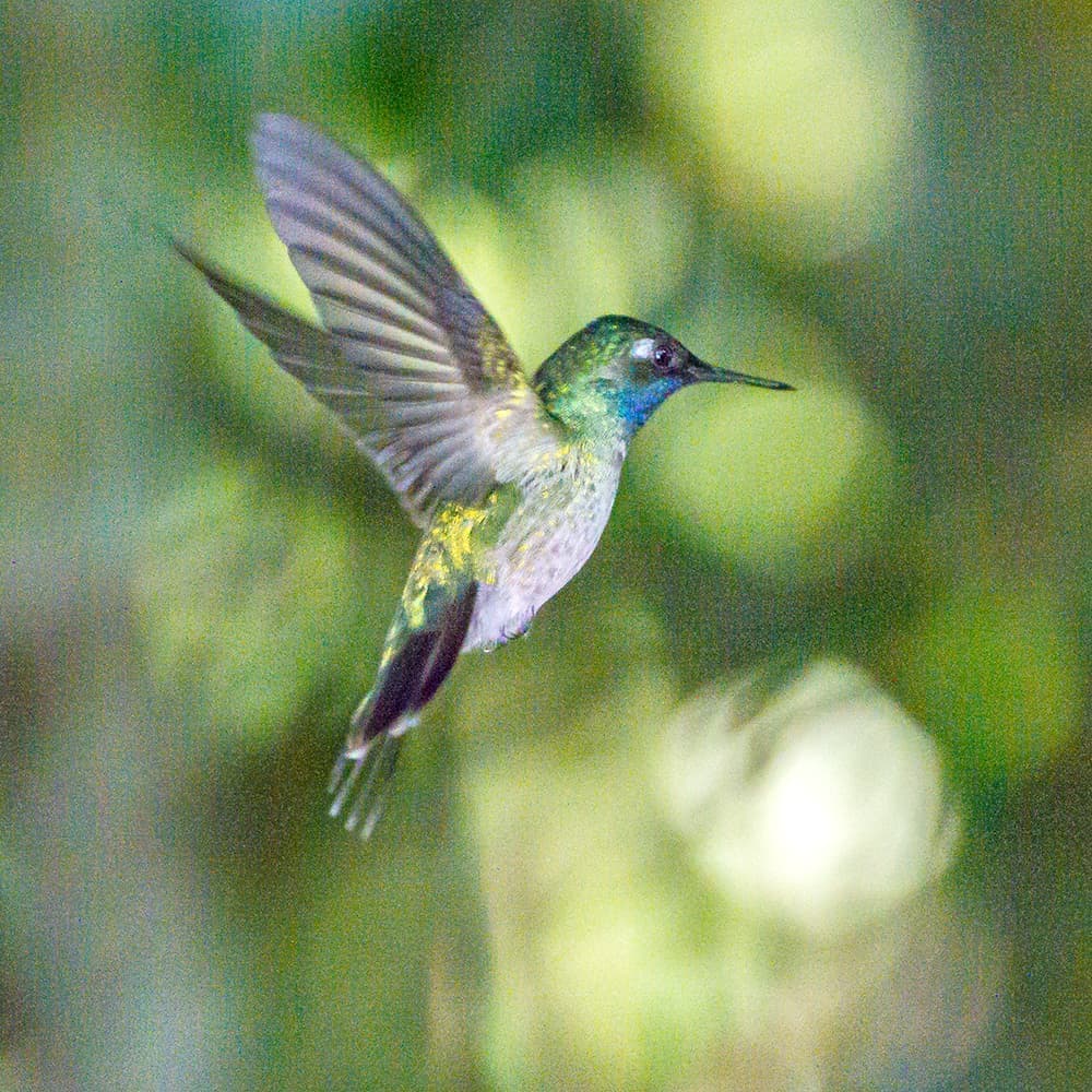 dsc_3533.jpg