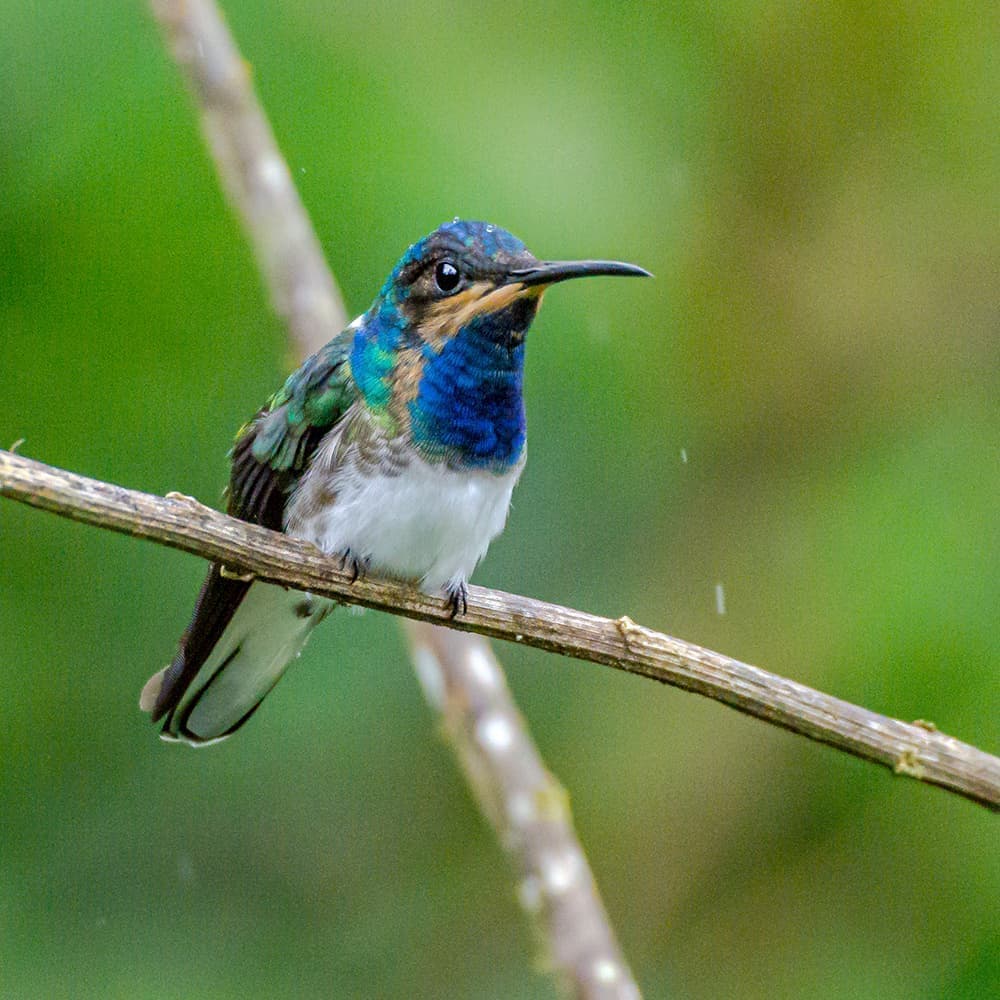dsc_4230.jpg